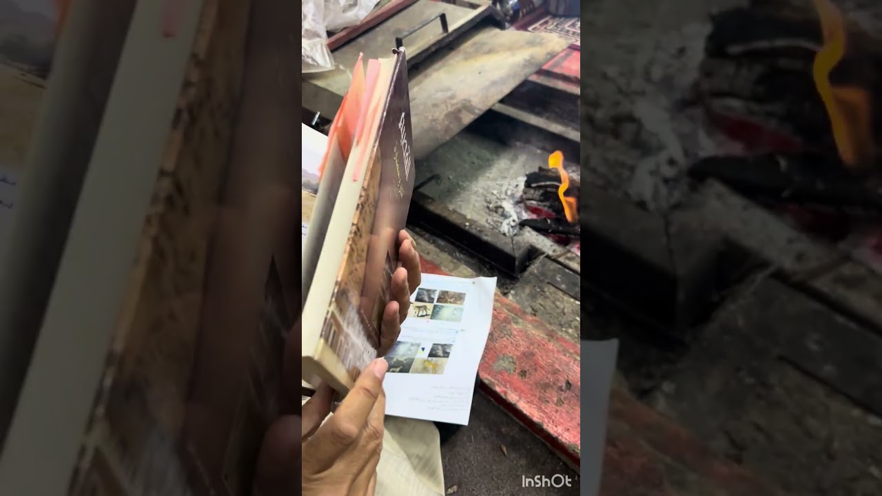 من يكشف حيوان الشُّبَيْكِيَّة الذي دوخ الباحثين⁉️