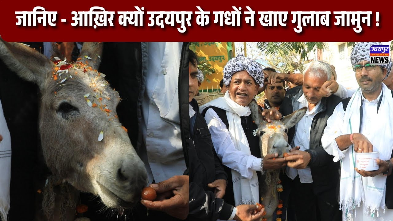 जानिए - उदयपुर के गधों ने किनके हाथों से और क्यूँ खाए गुलाब जामुन !