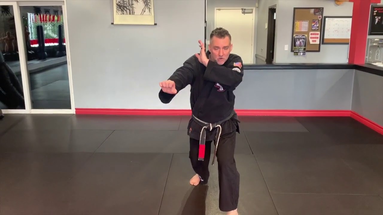 SASDA - Attacking Mace