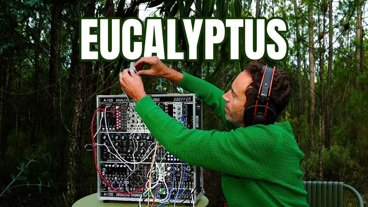 Eucalyptus Meditation • Experience Real Plant Frequencies That Melt Stress — Start Relaxing Now