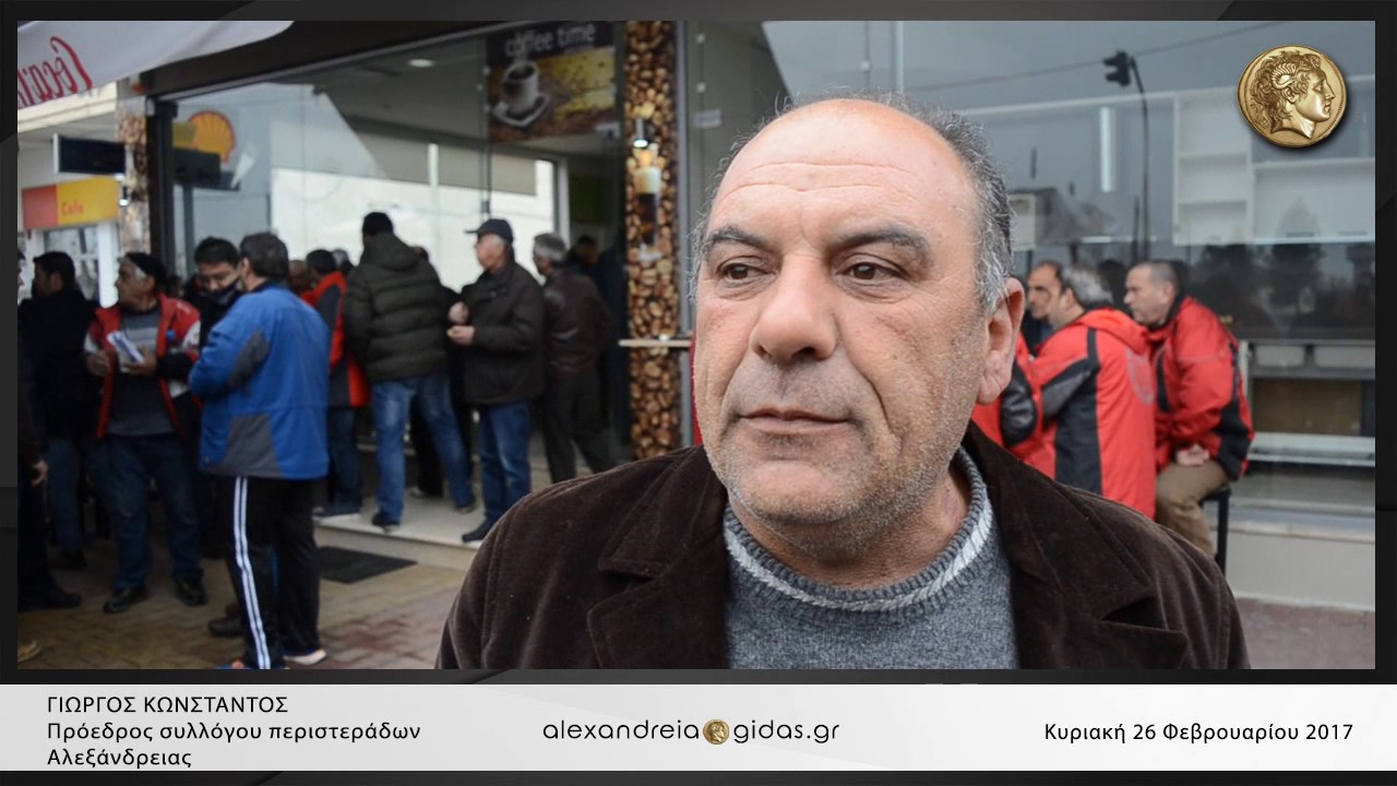 Συνάντηση περιστεράδων στην Αλεξάνδρεια ● 26 02 2017 HD