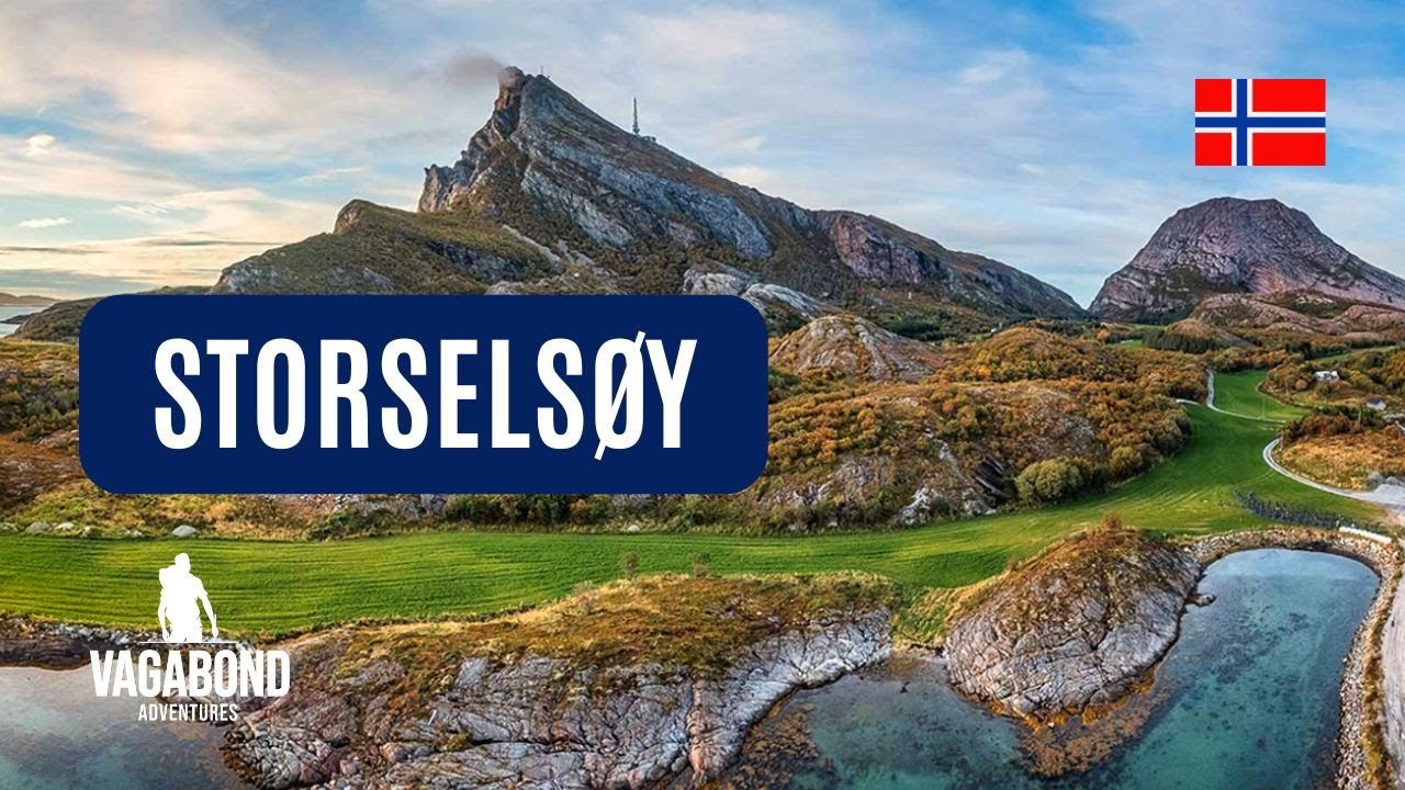 Storselsøy