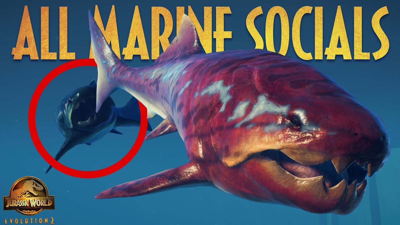 ALL MARINE SOCIAL ANIMATIONS (ranked from Worst to Best imo) | Jurassic World Evolution 2 Update 7