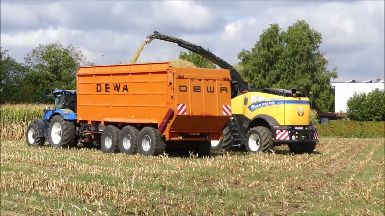 Oste Gebr. mais hakselen 2025 , New Holland FR 920