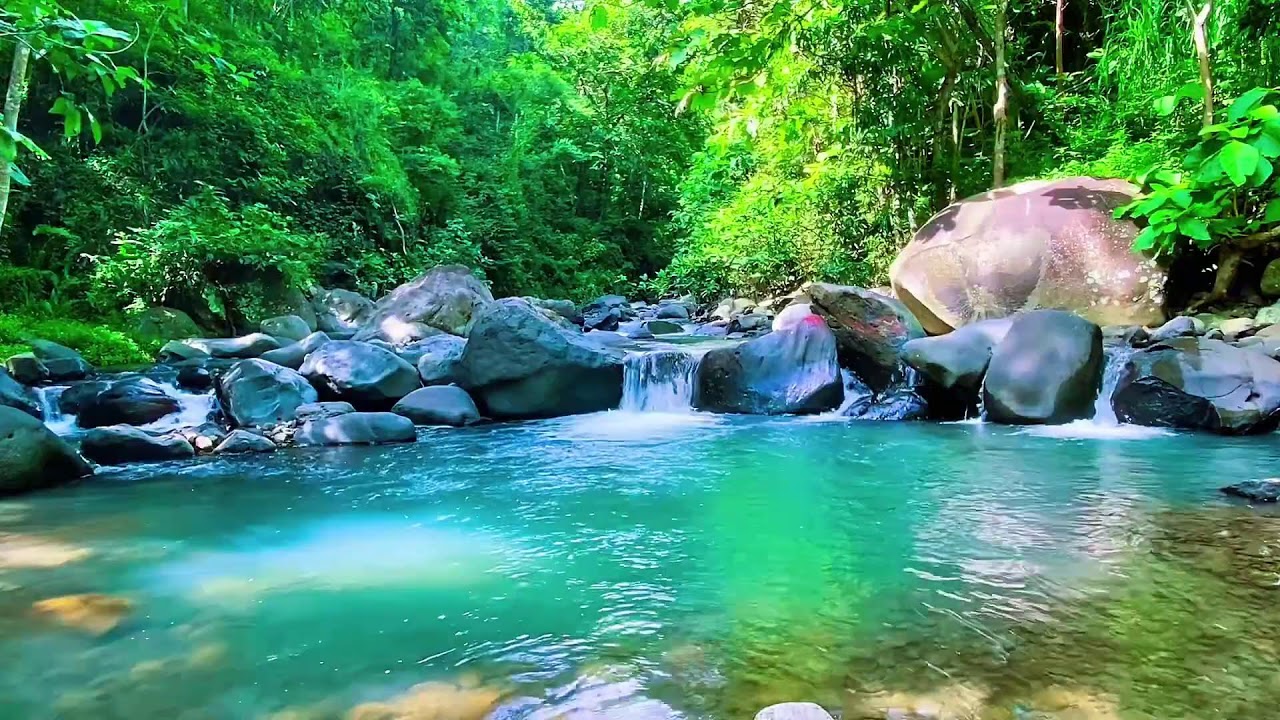 Flowing Water Stream Audio, Mountain River, Forest Sleep