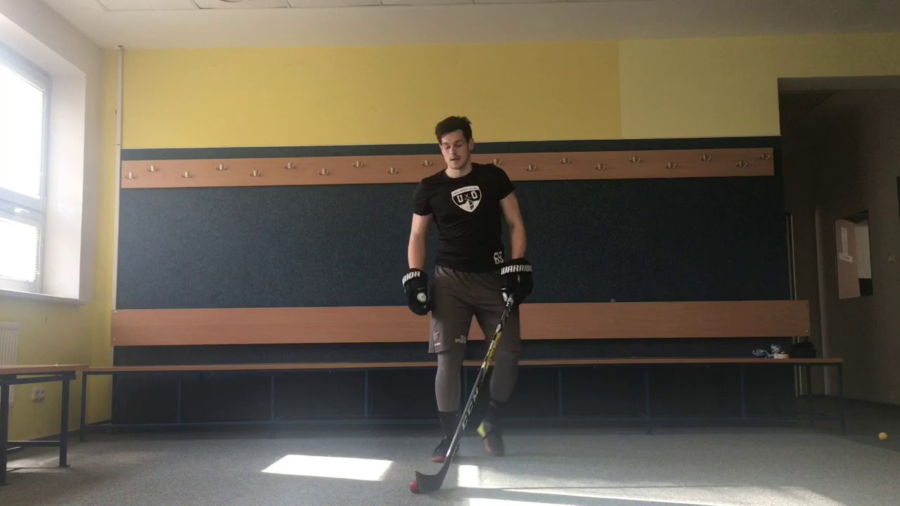 Práce s holí