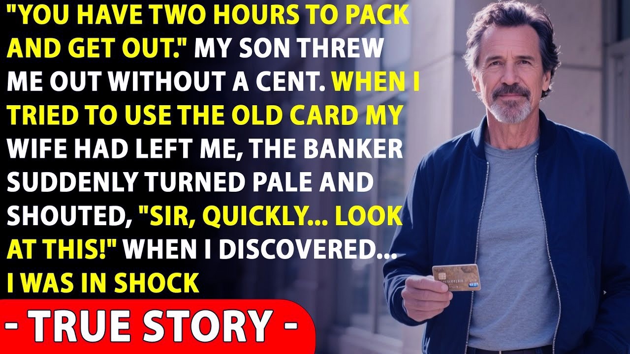 After My Son Kicked Me Out, I Used My Wife’s Old Card. The Bank Panicked — I Was Shocked When…