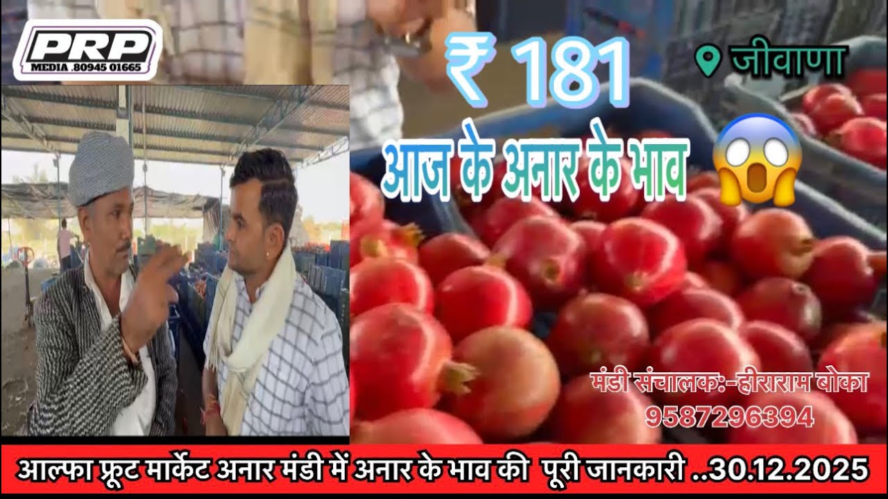 जीवाणा आल्फा फ्रूट मार्केट अनार मंडी में आज के भाव..देखिए किसानो का विश्वास…. ₹181 😱
