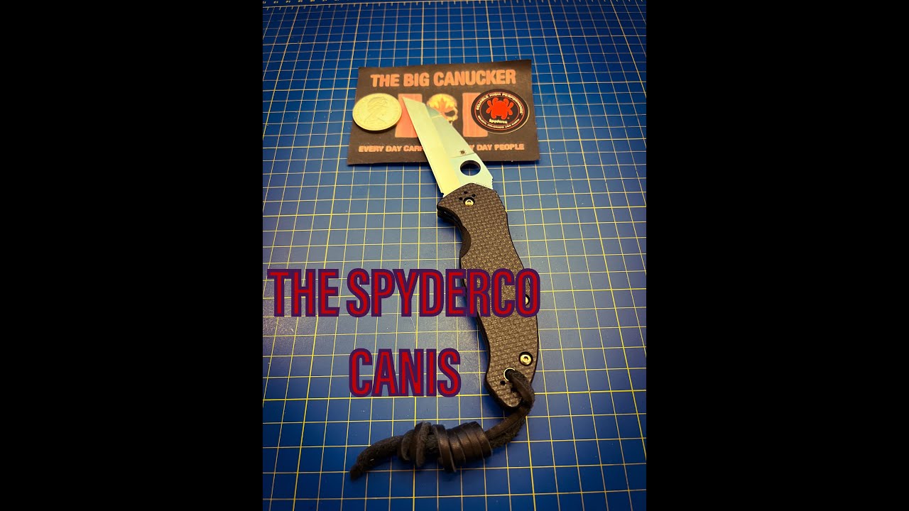 The Spyderco Canis An EDC Blade In A Wolfs Clothing.