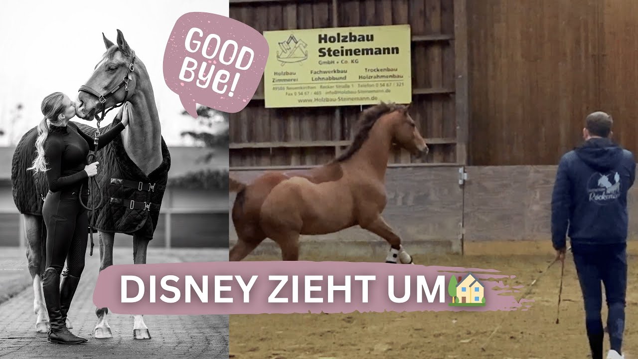 Disney zieht um ❤️🏡