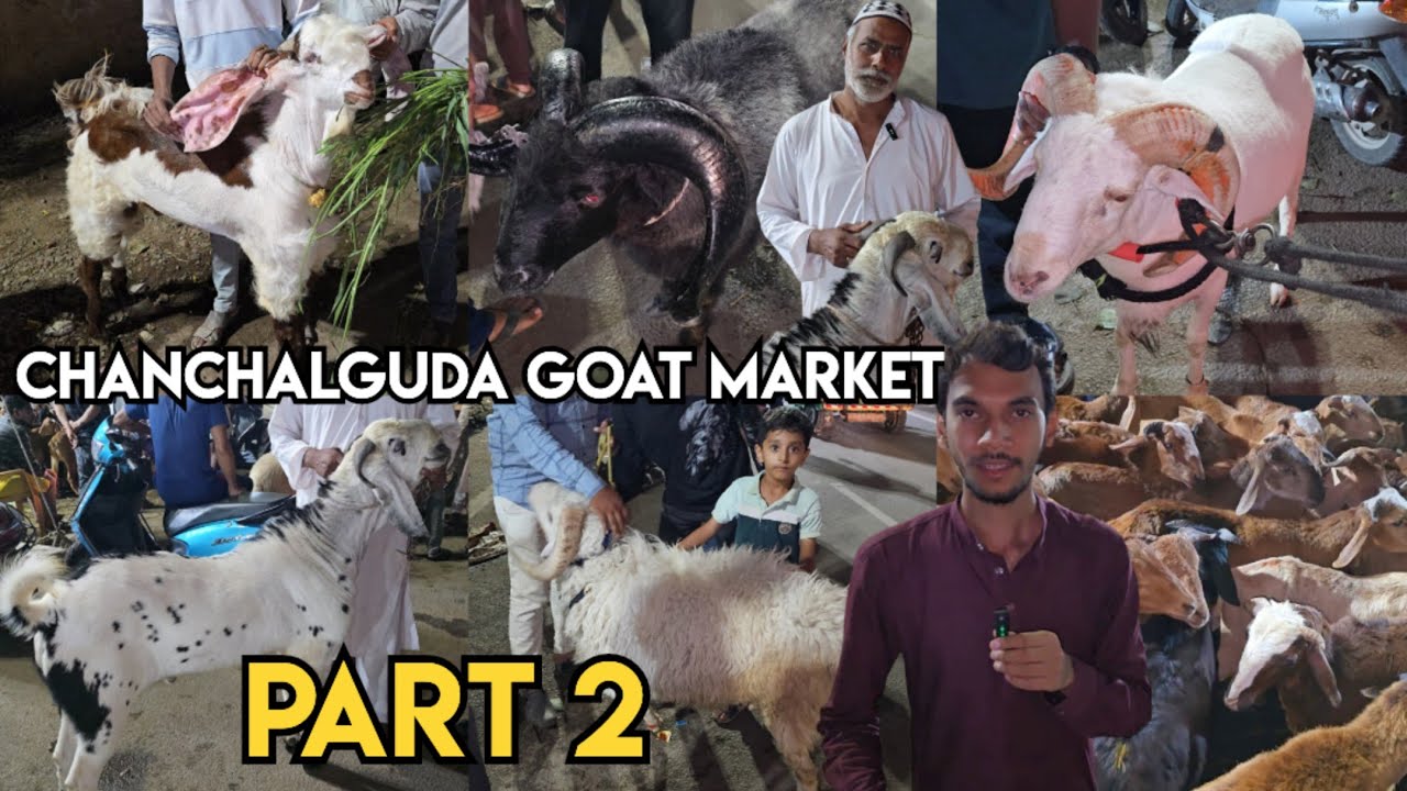 Saidabad 🐐 market 2025 live part 2 | chanchalguda bakra mandi | qurbani ke bakre in saidabad jail