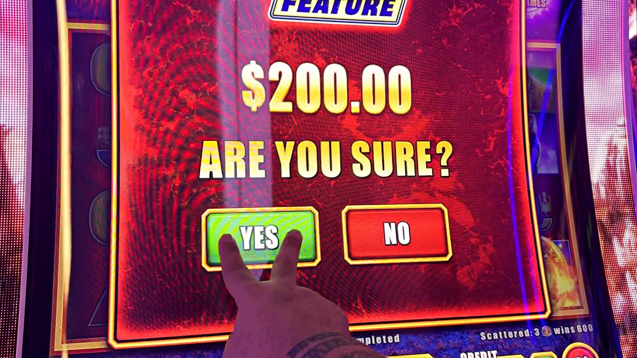 BUFFALO BUY A BONUS!!!!!!!!!!!!!