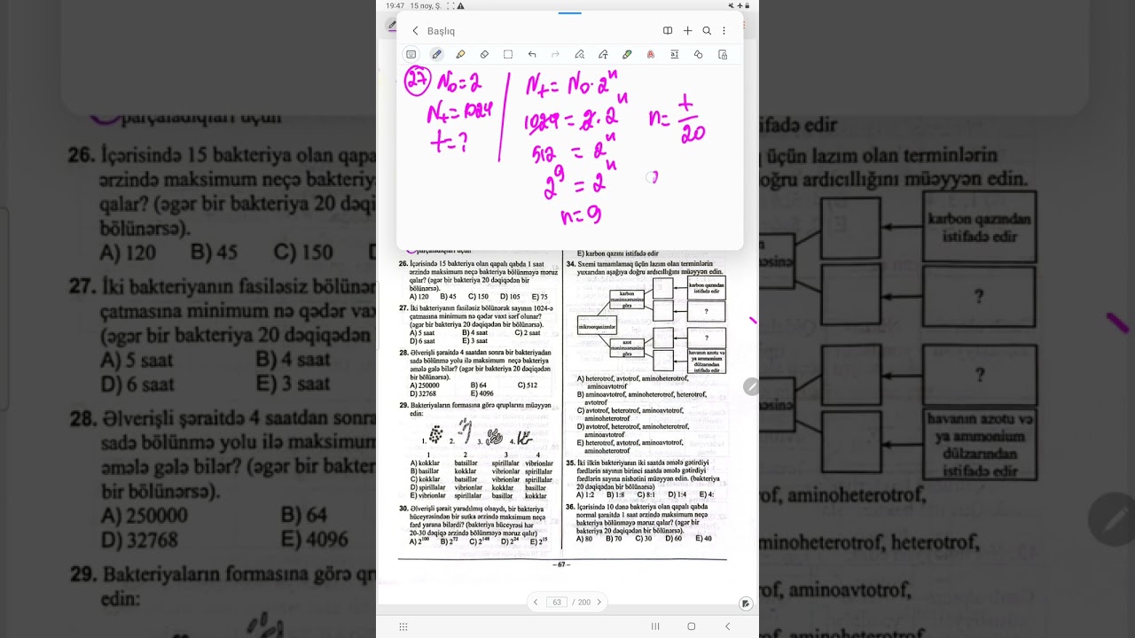 Bakteriya dim test 1-36