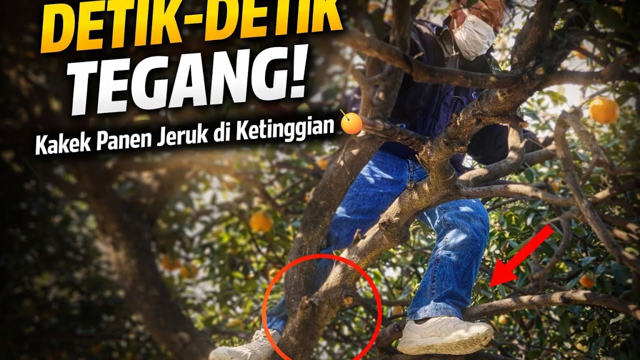 DETIK