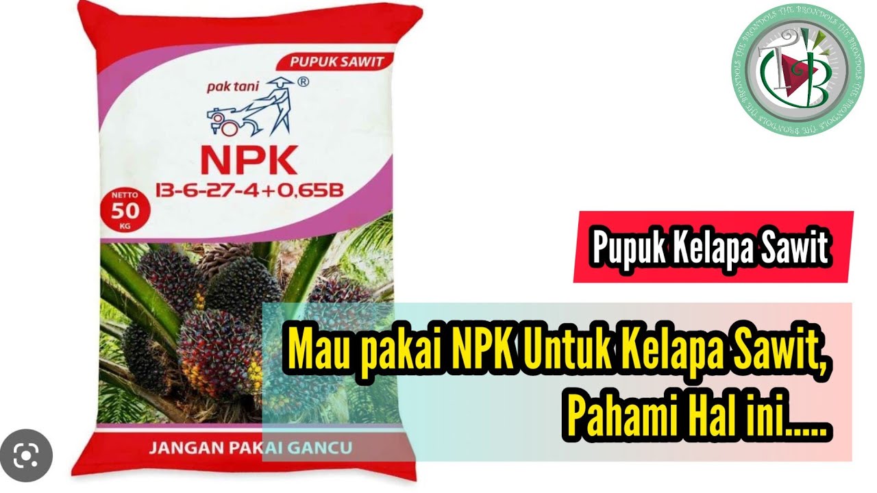 Mau pakai NPK Untuk Kelapa Sawit, Pahami Hal ini.....