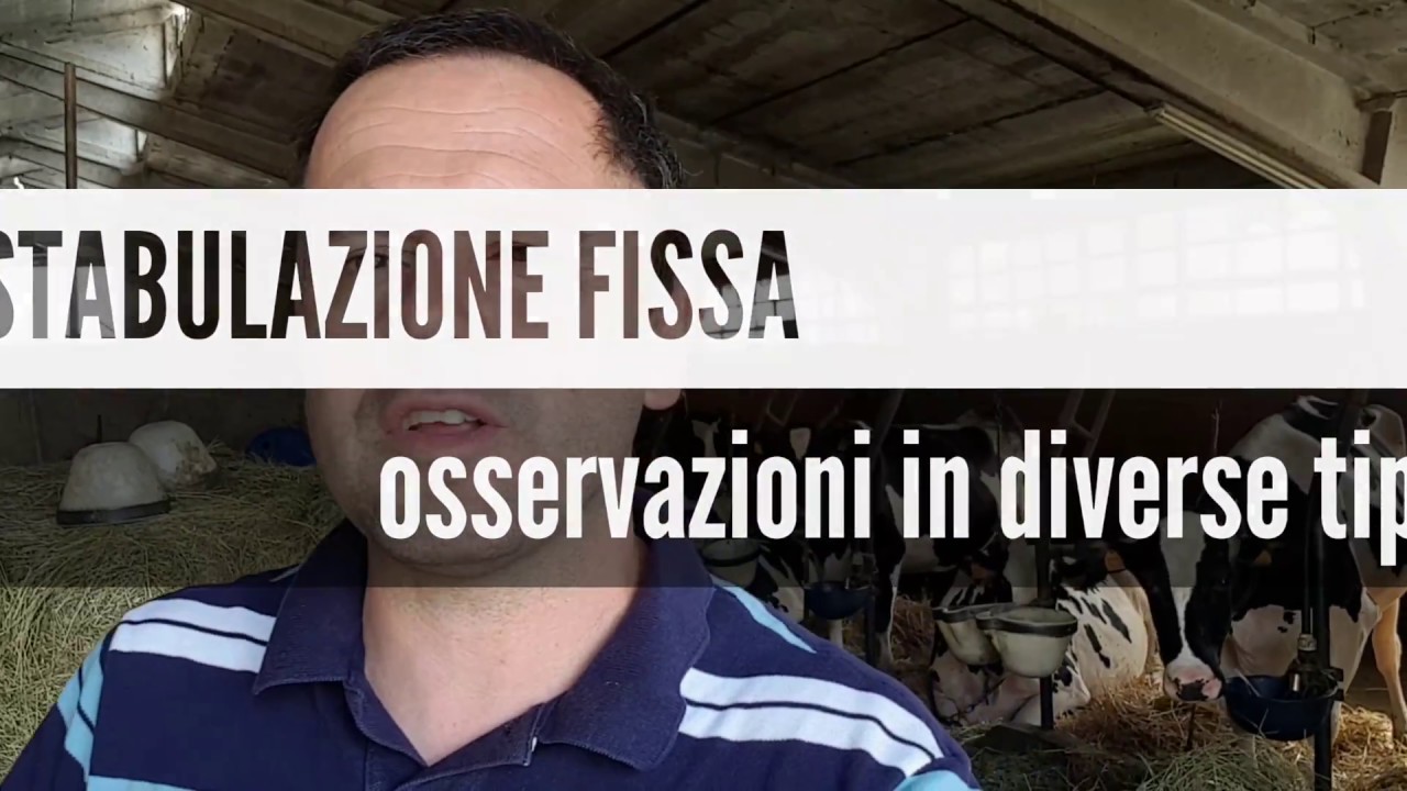 STABULAZIONE FISSA osservazioni in diverse tipologie