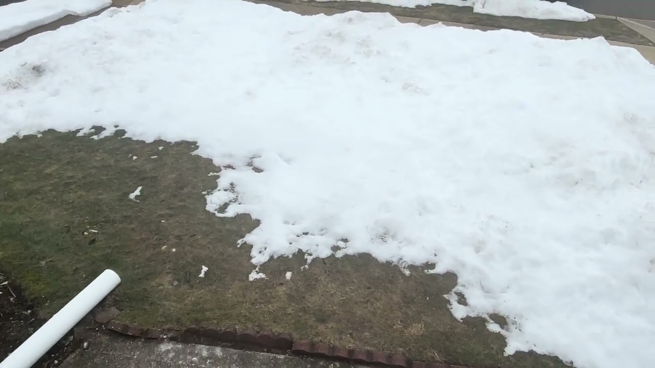 Seeing snow ❄️ on the ground Day 37 3/4/26
