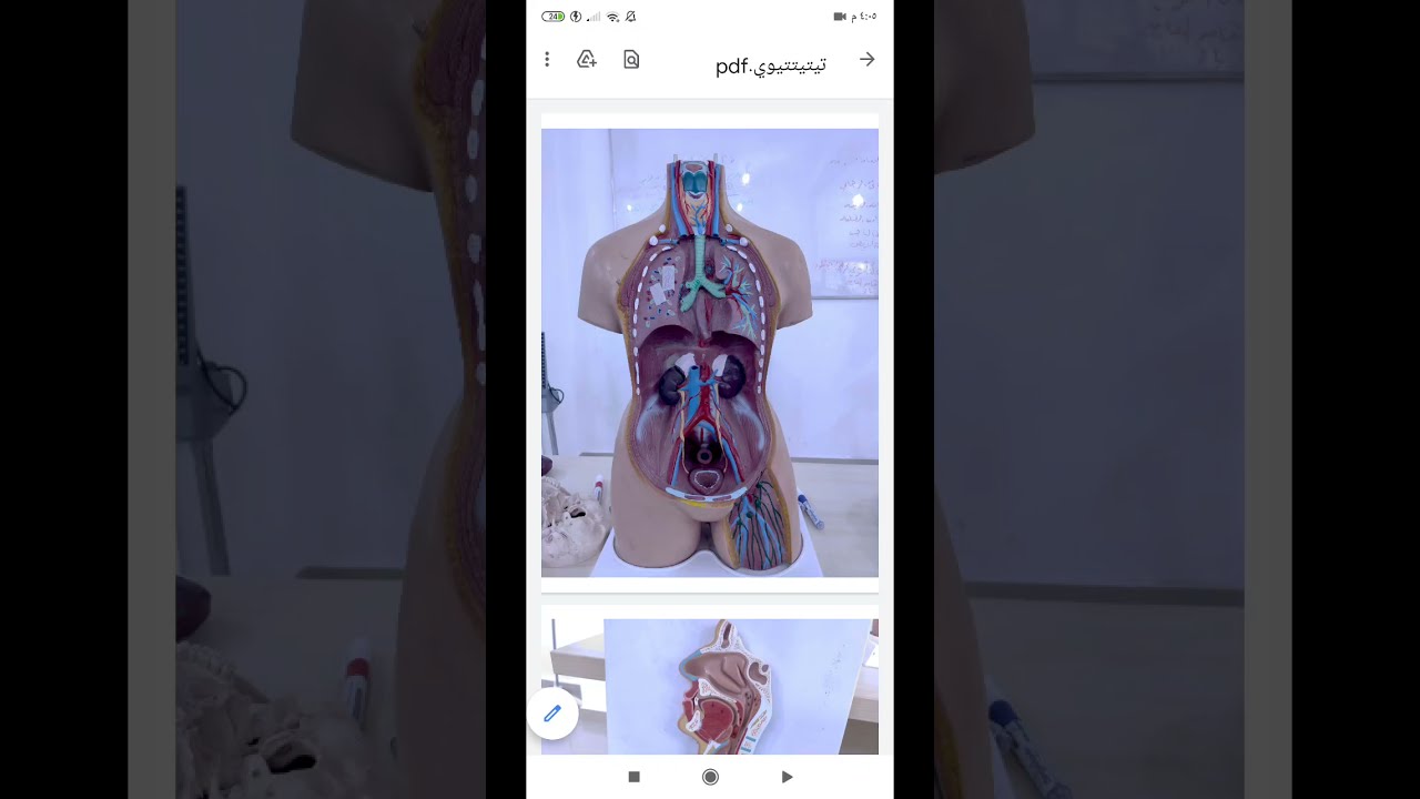 تشريح 2 مذاكرة شرح امتحاني