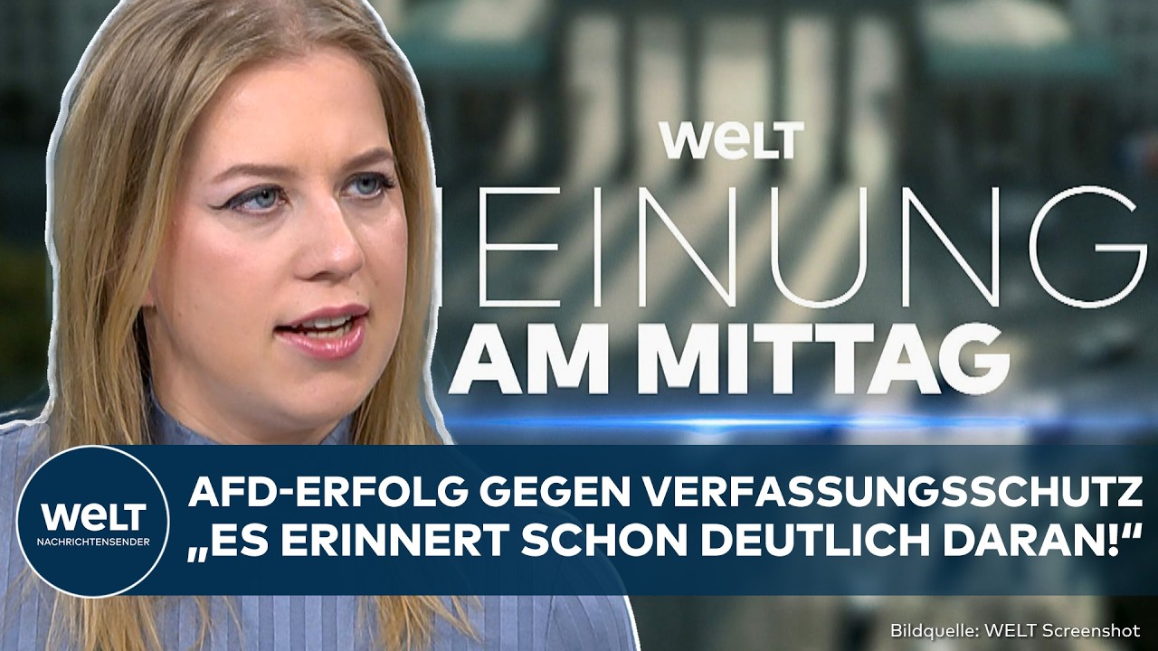 MEINE MEINUNG: Erfolg gegen Verfassungsschutz! AfD nicht gesichert rechtsextremistisch