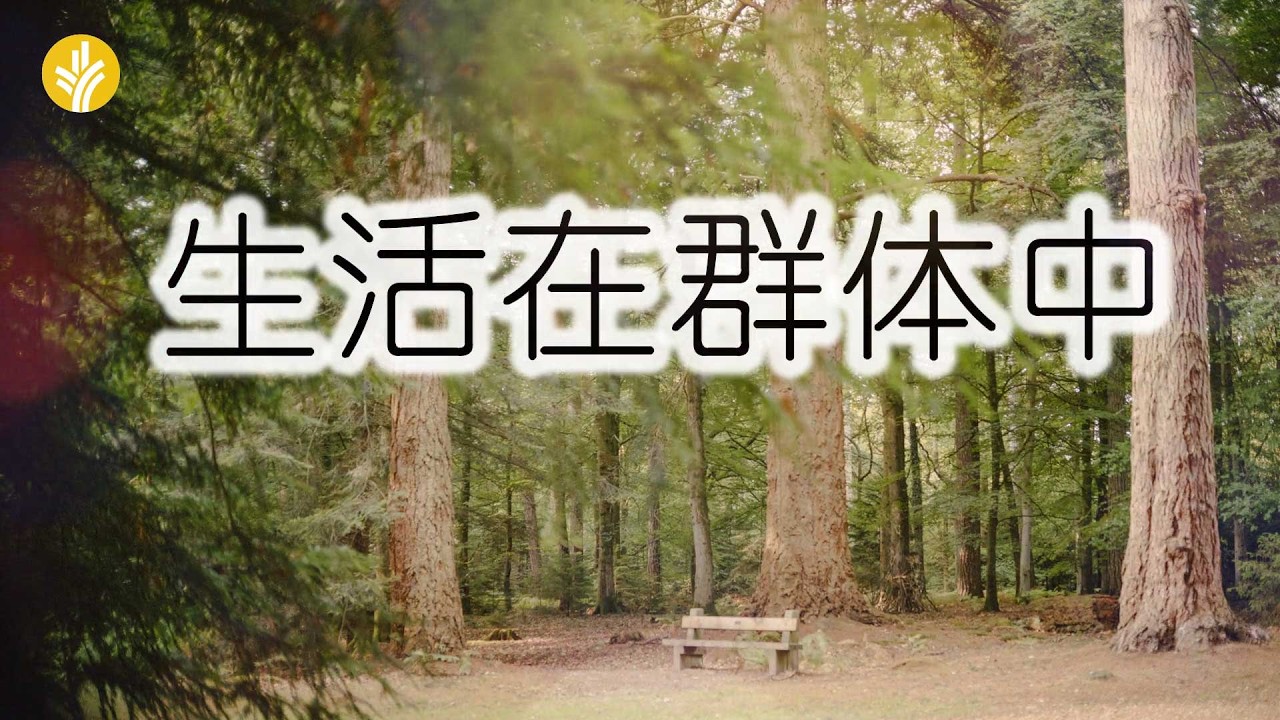 3月18日《灵命日粮》文章视频-生活在群体中