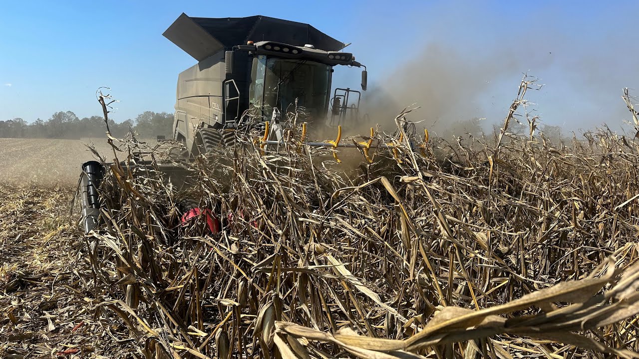 Комбайн Fendt против кукурузы