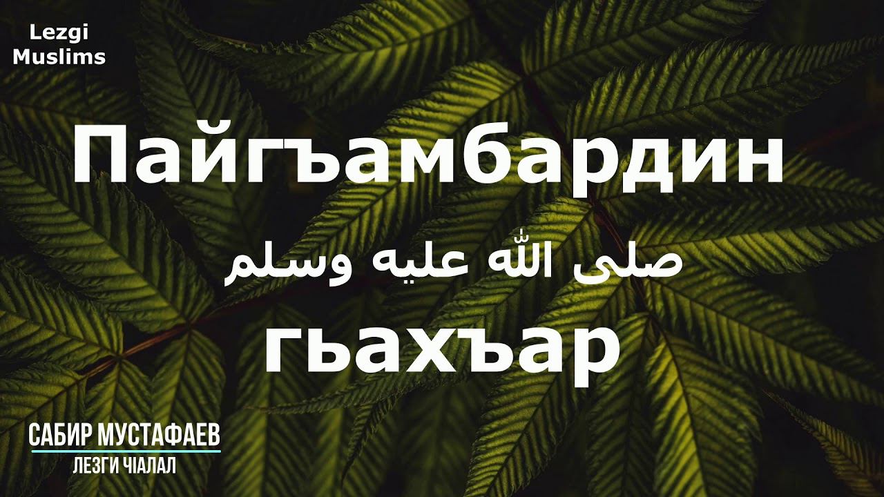 Пайгъамбардин (صلى الله عليه وسلم) гьахъар | Сабир Мустафаев | лезги чlалал.