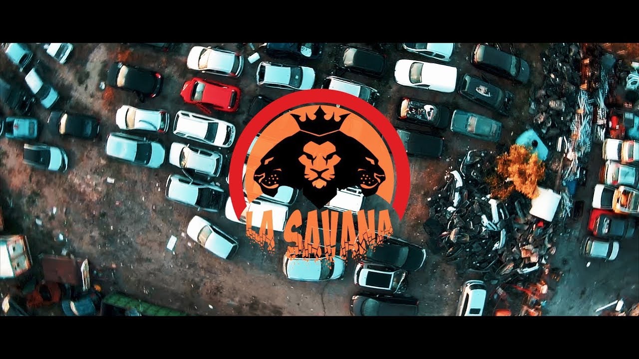 P Rope x Free-o - LA SAVANA