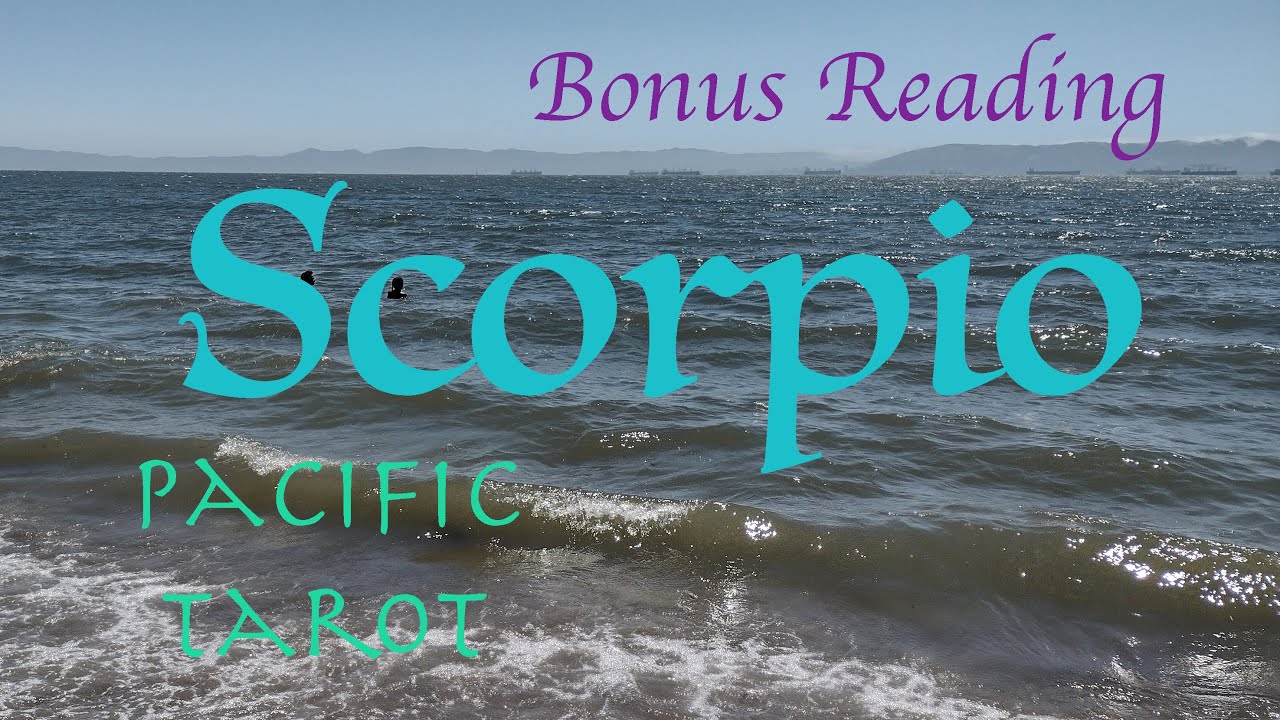 SCORPIO Timeless Reading - Sweet Words of Wisdom