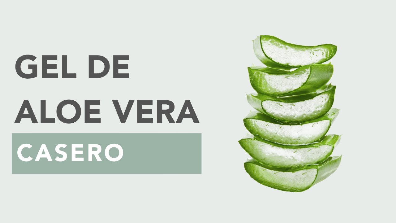 GEL DE ALOE VERA CASERO Y CÓMO CONSERVARLO