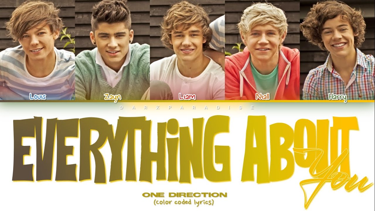 One Direction - Everything About You (Color Coded Lyrics)