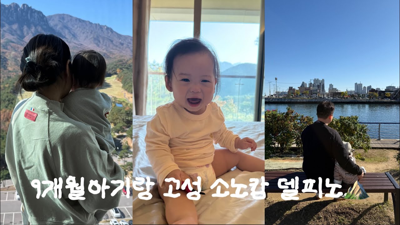 9개월아기랑 고성 소노캄 델피노에서 1박 2일⛰️👶