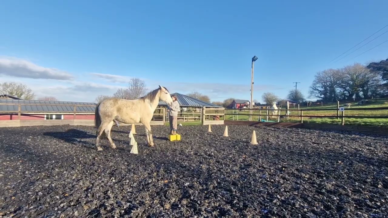 Caval go 2026 club élite  manche 1   