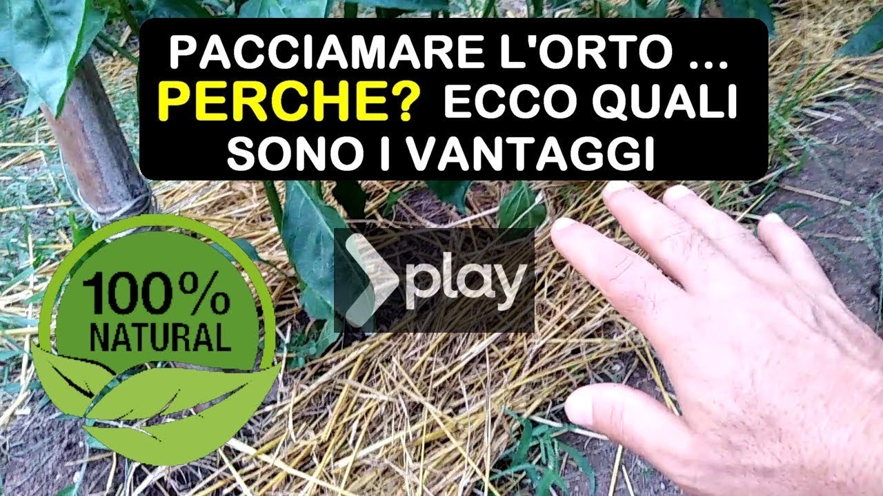 PACCIAMARE L'ORTO ECCO TUTTI I VANTAGGI