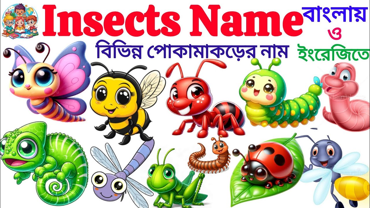 Insects Name | Learn Insects Name IN English With Picture | 20 Insects Name For Kids | Insects 