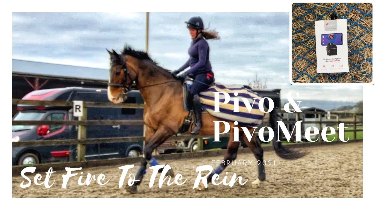 Pivo and Pivo Meet a review and guide