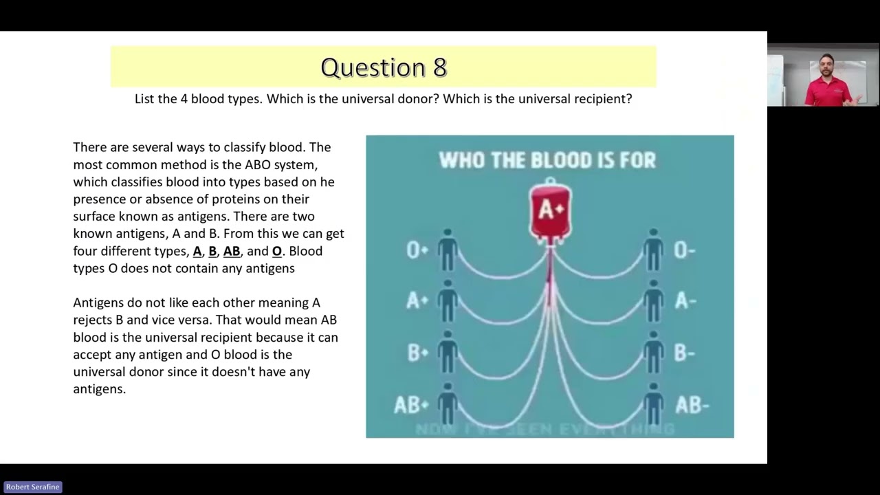 Cardiovascular System Crash Course