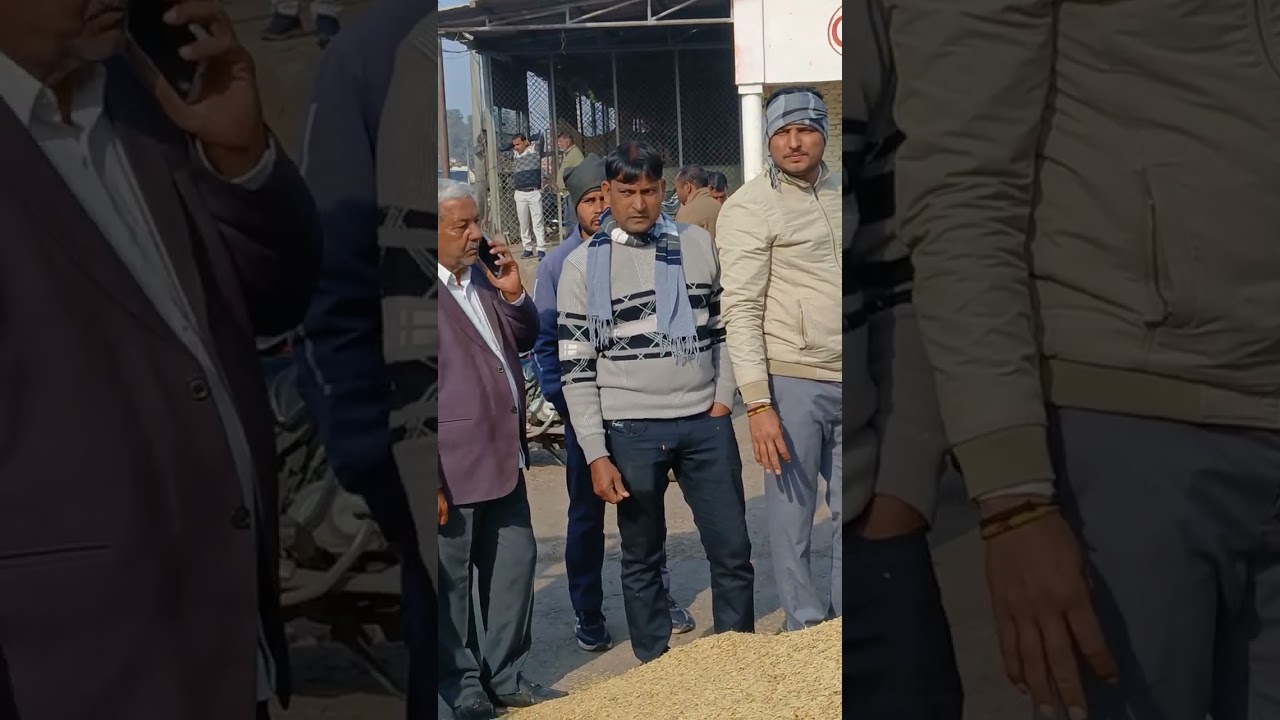 1509 खैर मंडी 30.1.26.तेजी 100.  रुपये की 