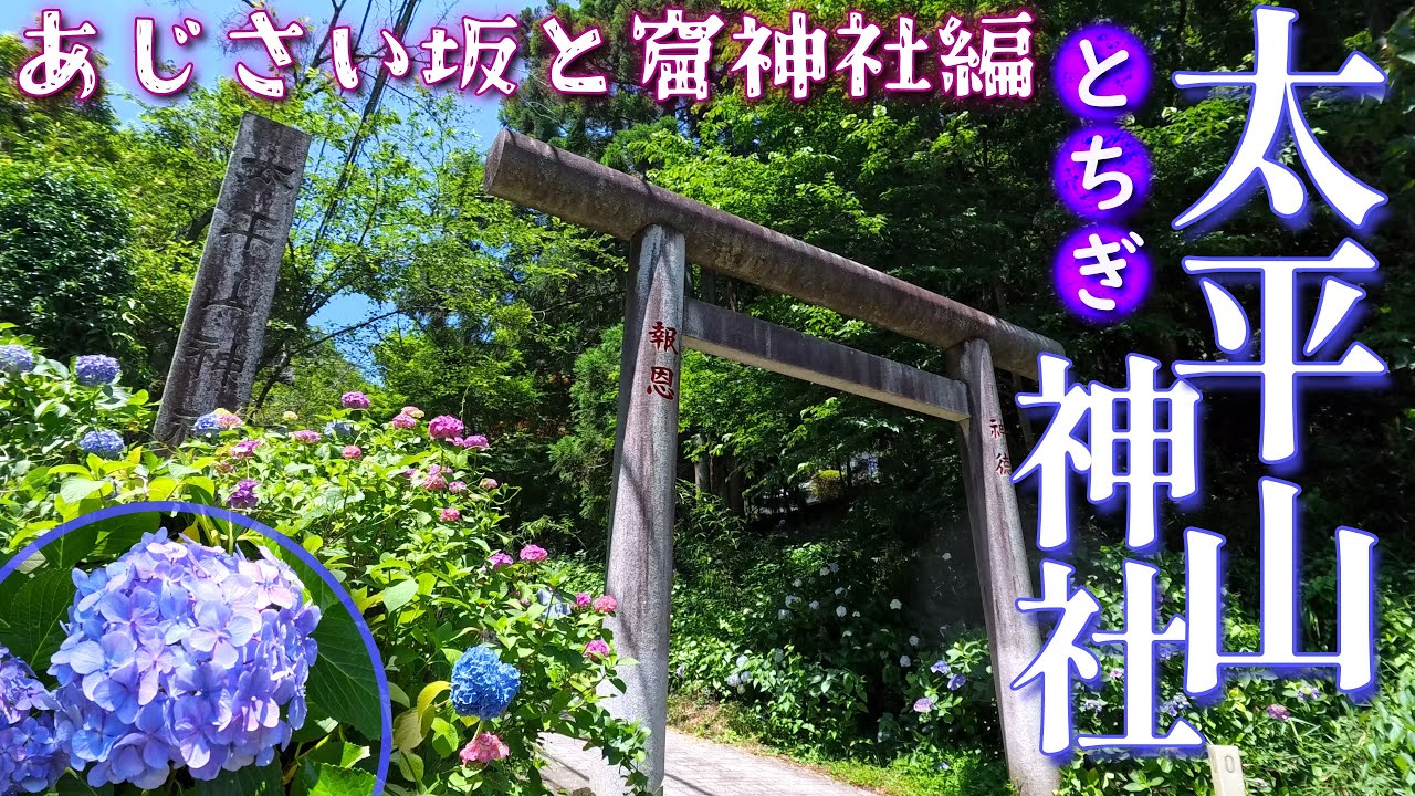 [4K]2025年もあじさい祭りありがとうございました❣太平山神社❮おおひらさんじんじゃ❯JP1345✨