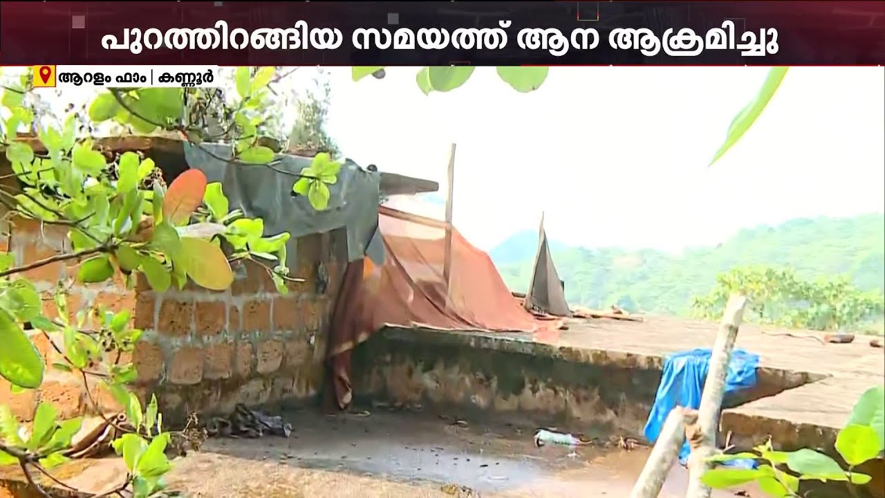 ആനയെ പേടിച്ച് രാത്രി ഉറങ്ങുന്നത് വീടിന്റെ ടെറസിൽ; അനീഷിന്റെ മരണത്തിൽ വനംവകുപ്പിനെതിരെ പ്രദേശവാസികൾ