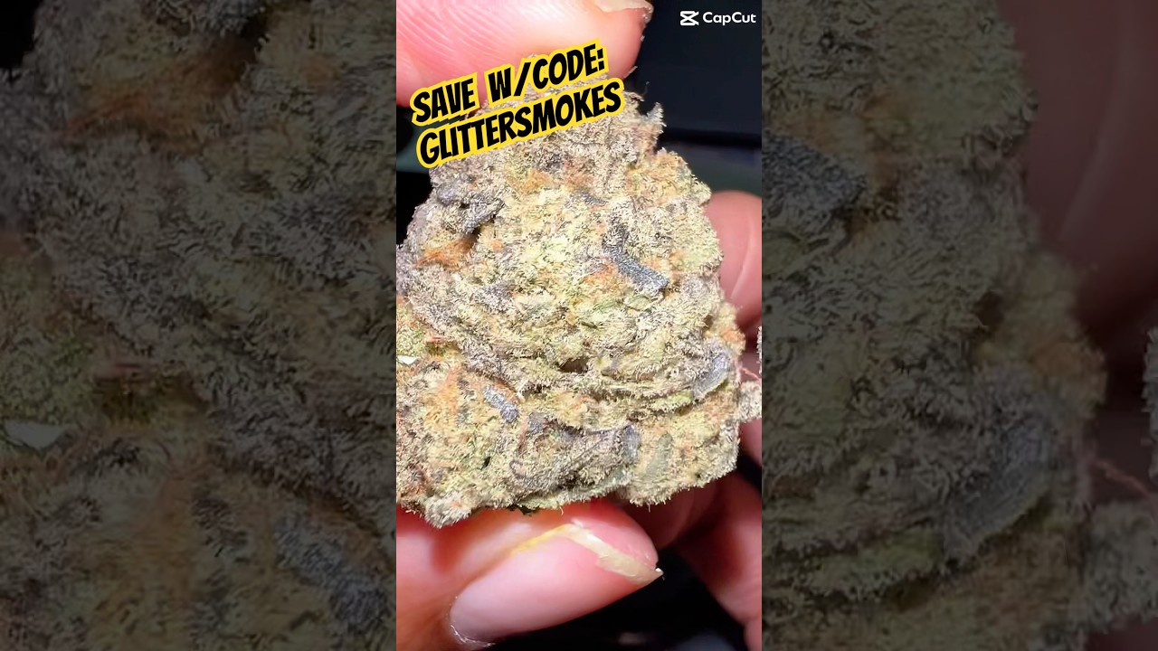 Vice City from California Gold Farm #420community #subscribe #freetheplant #420 #hemphealing