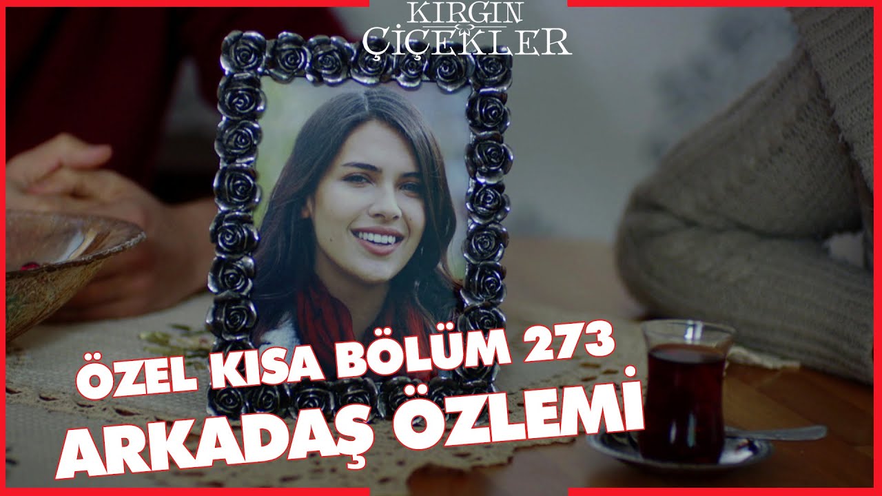 Kırgın Çiçekler Özel Kısa Bölümler | 273