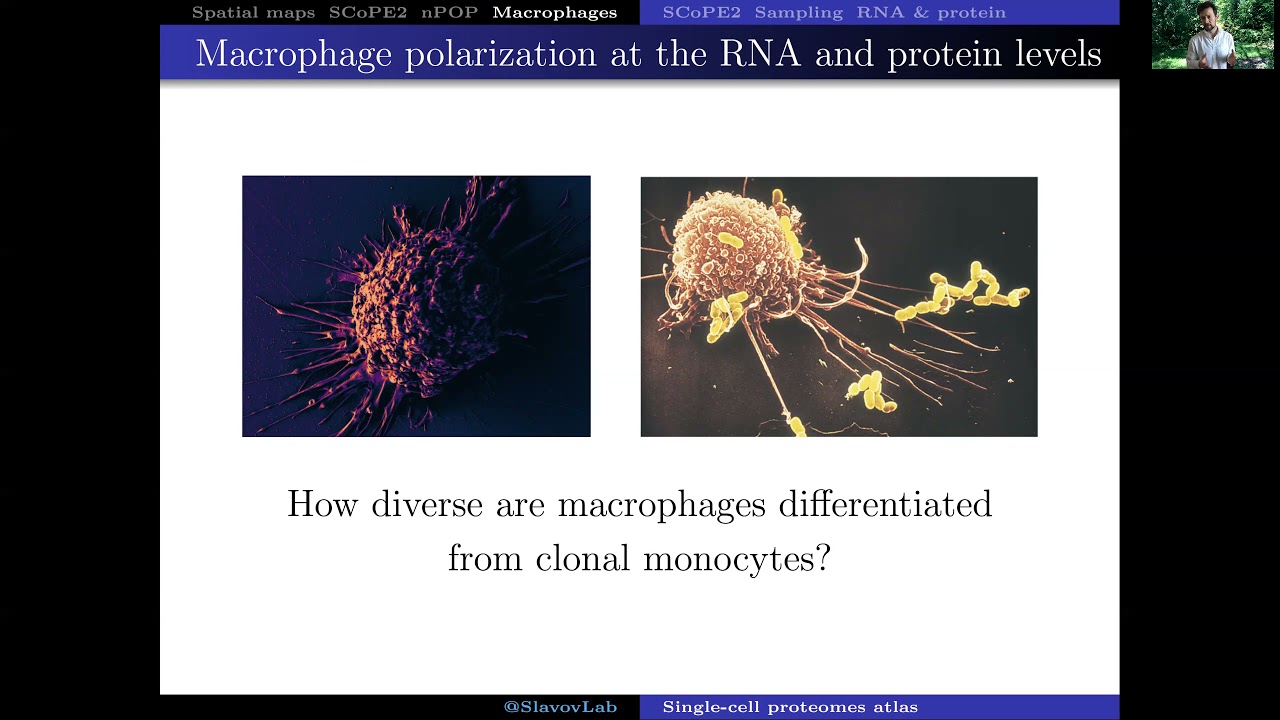 Spatial Single Cell Proteomics Approaches