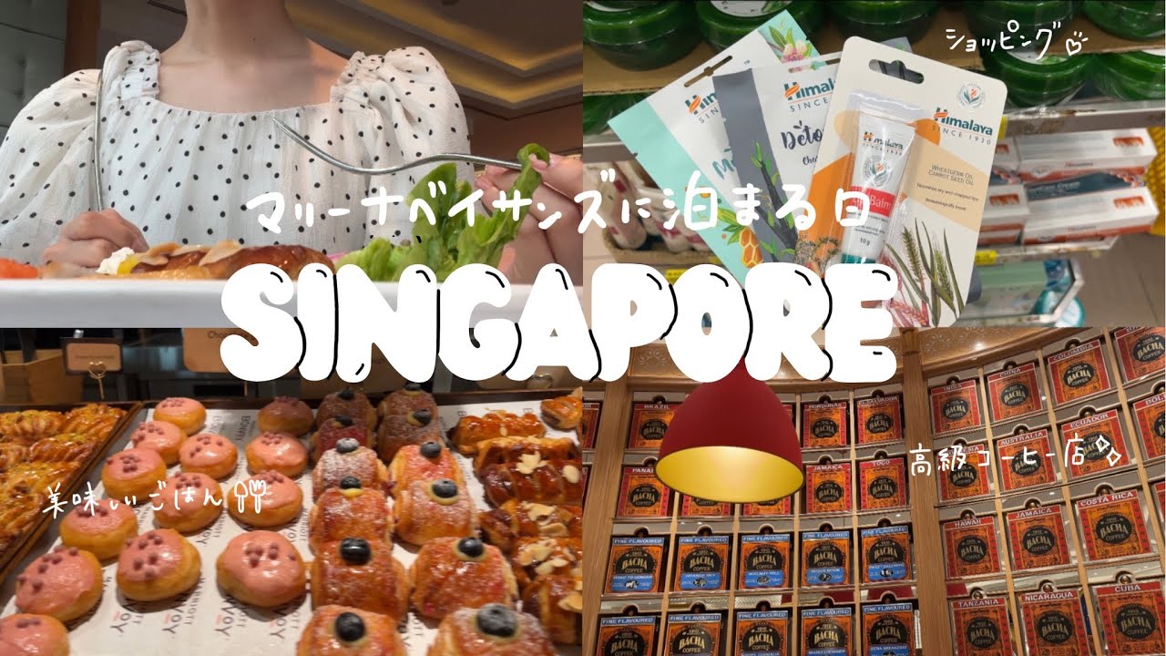【シンガポール】マリーナベイサンズに宿泊💐 day3 | 超巨大ショッピングセンターでお土産探し |  ナイトショーをはしご🪄 ムスタファセンター/ガーデンズバイザベイ / オーチャード🛍