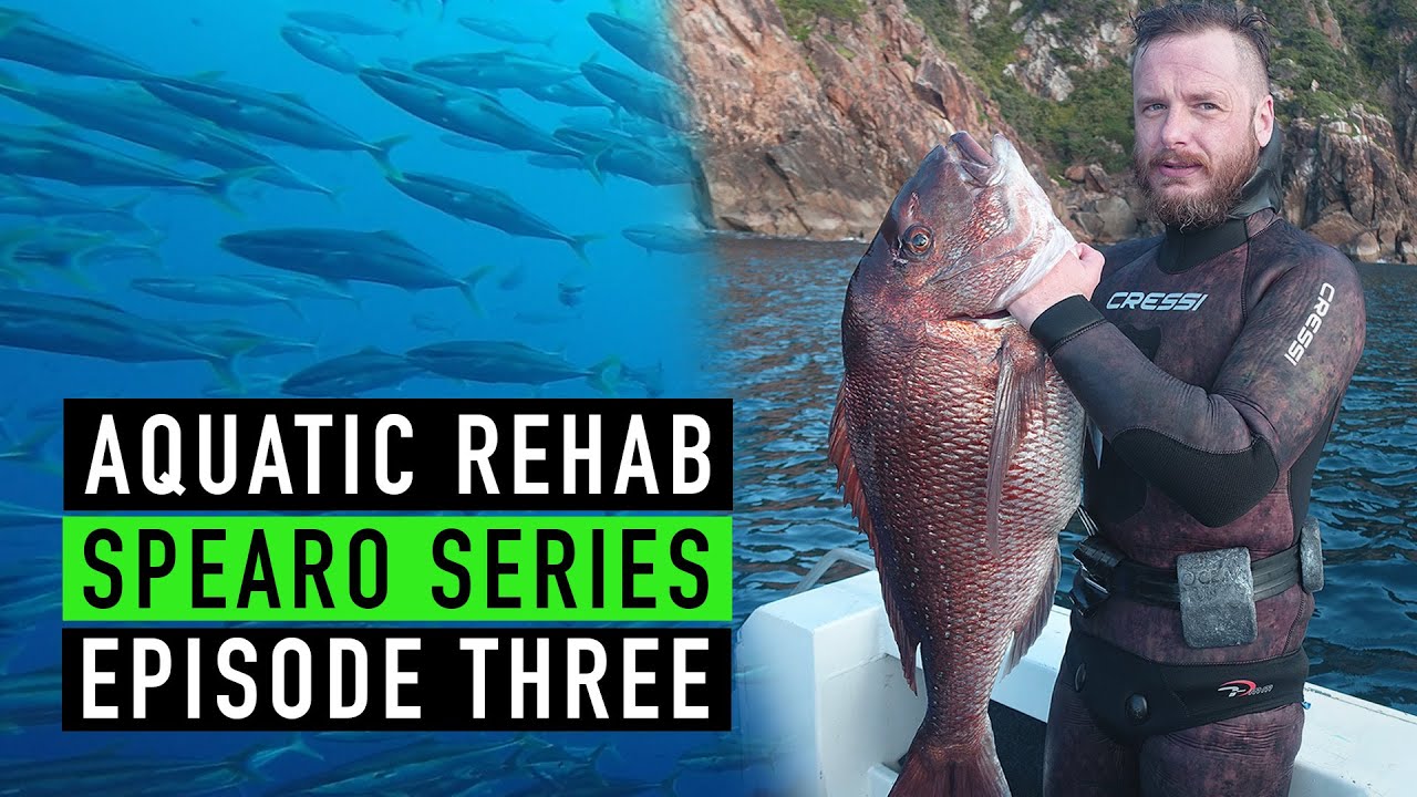SPEARFISHING - 4 Seasons 2018 - New Zealand - SSE3