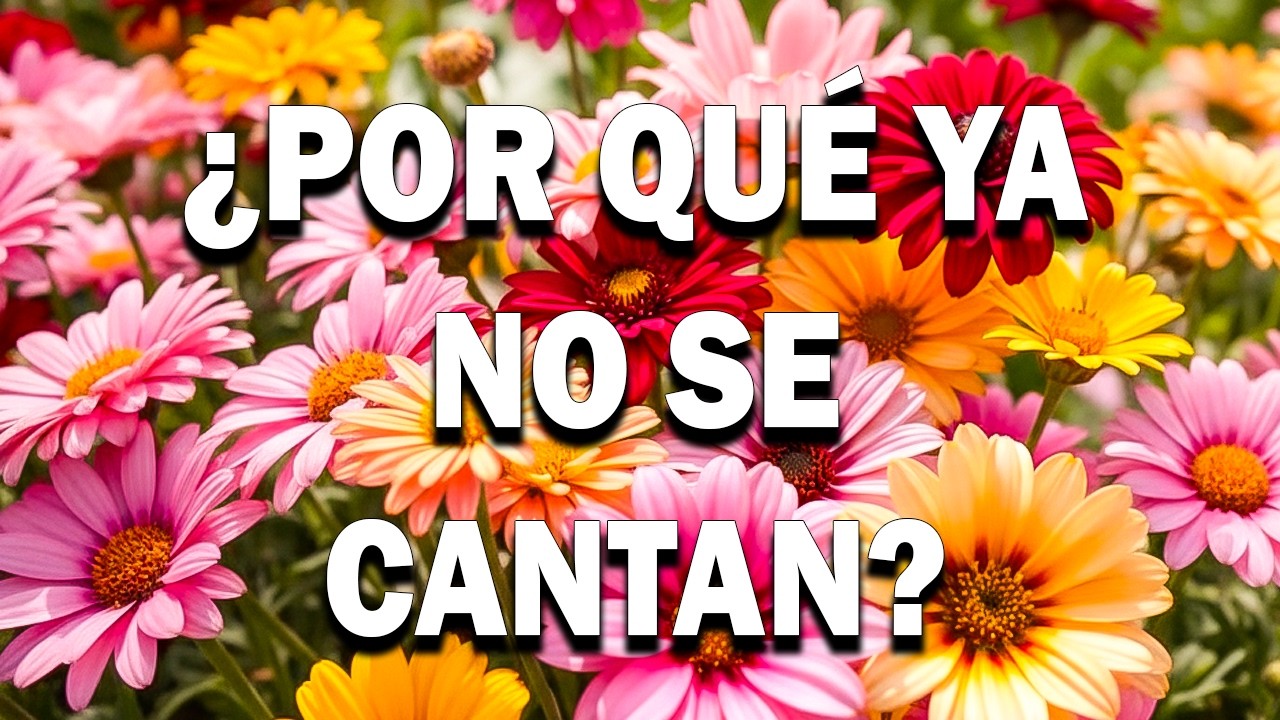 LOS 50 MEJORES HIMNOS CRISTIANOS ANTIGUOS: Una Hora de Adoración y Paz Interior🙏
