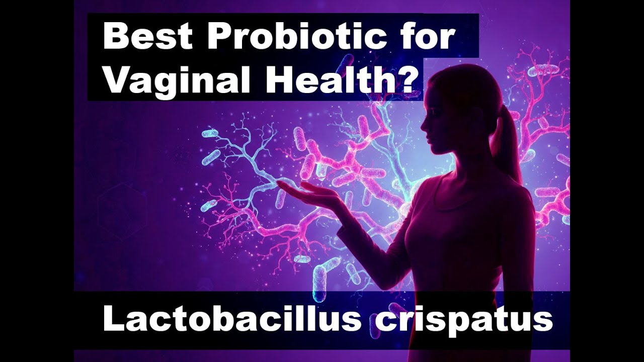 Is Lactobacillus Crispatus the Best Probiotic for Vaginal Health? (Science Explained)