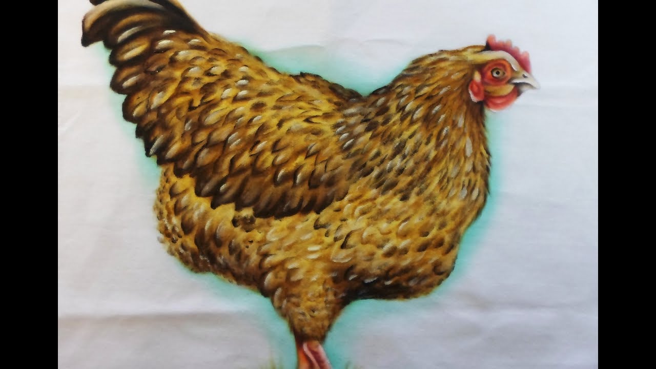 Como Pintar Galinha - Pintura em Tecido
