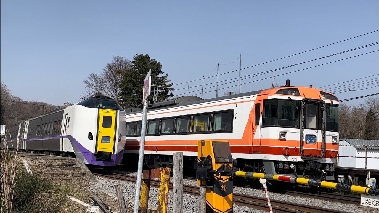 【涙の警笛】※爆音注意 キハ183北斗ラストラン 仁山駅キハ261との交換