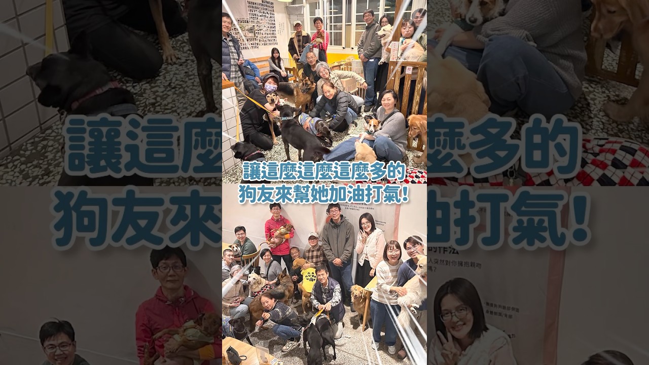 超多朋友的格林回家了！來跟大家報平安啦！！🫶🏻🫶🏻🫶🏻