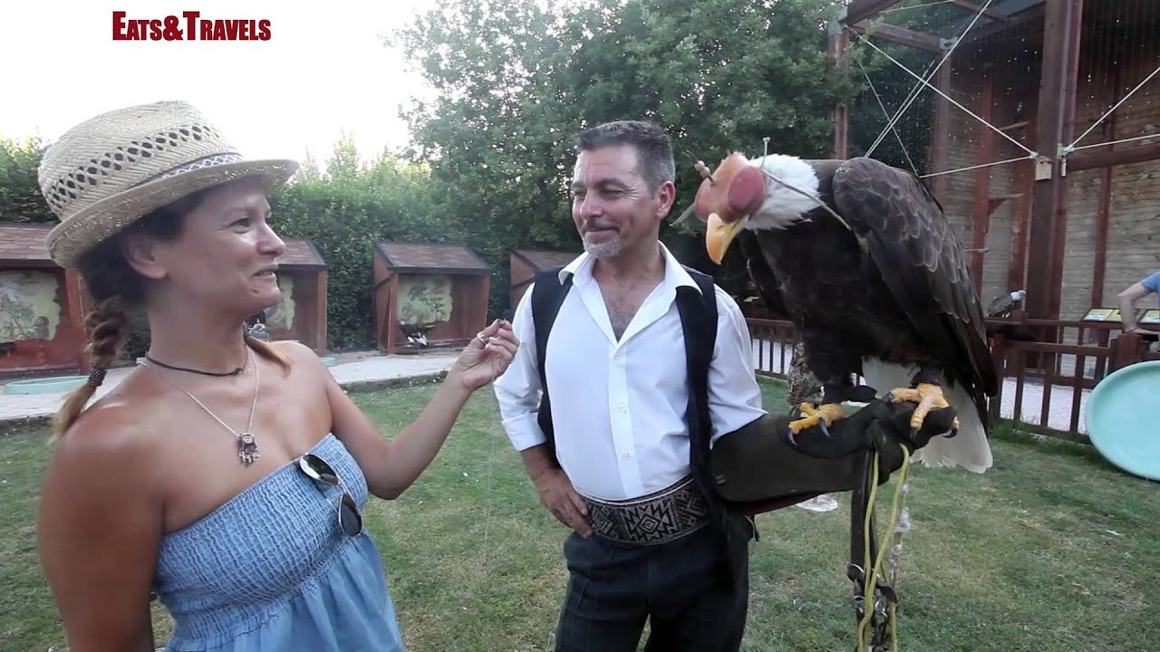 Il Teatro dell'Aria - Falconeria a Gradara nelle Marche. Eagle show & gufo reale